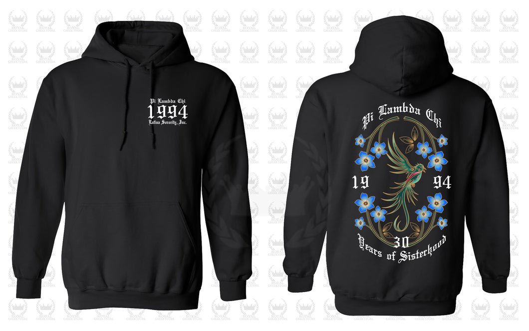 30th Anniversary Hoodie - Full Color