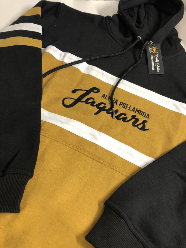 Alpha Psi Lambda Olympian Hoodie (Pre-Order)